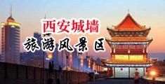嗯，嗯啊，啊大鸡巴干我视频中国陕西-西安城墙旅游风景区