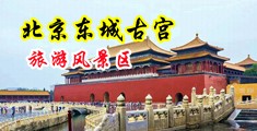 我艹了个dj中国北京-东城古宫旅游风景区